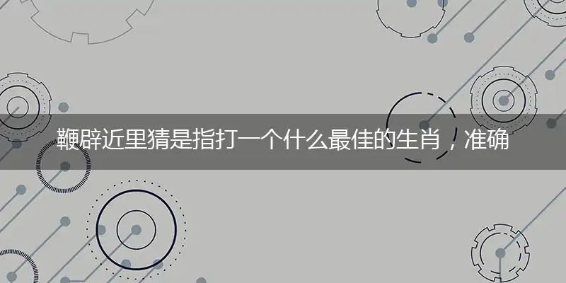 鞭辟近里猜是指打一个什么最佳的生肖，准确解读作答落实释义