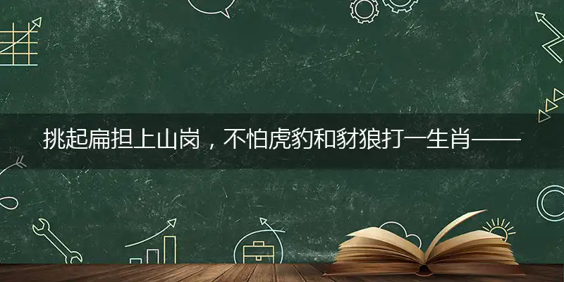 挑起扁担上山岗，不怕虎豹和豺狼打一生肖——最佳准确生肖数字动物词语解析释义