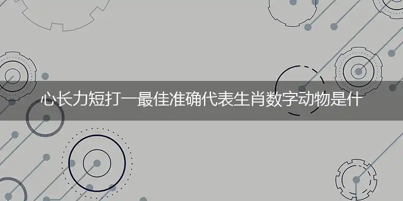 心长力短打一最佳准确代表生肖数字动物是什么？解析独家哪一个词语精选解释释义