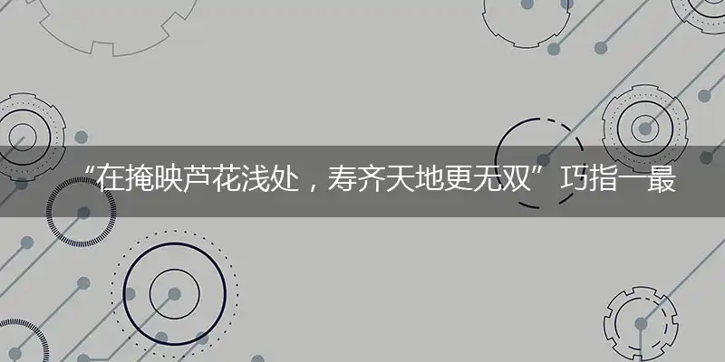 “在掩映芦花浅处，寿齐天地更无双”巧指一最佳最佳生肖,独家释义词语解释!