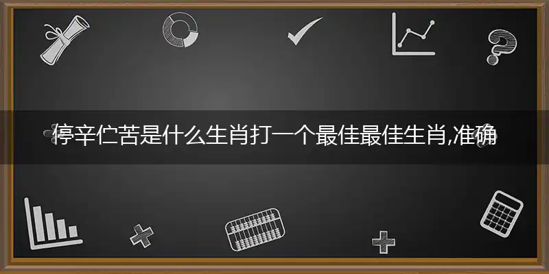 停辛伫苦是什么生肖打一个最佳最佳生肖,准确释义词语解释